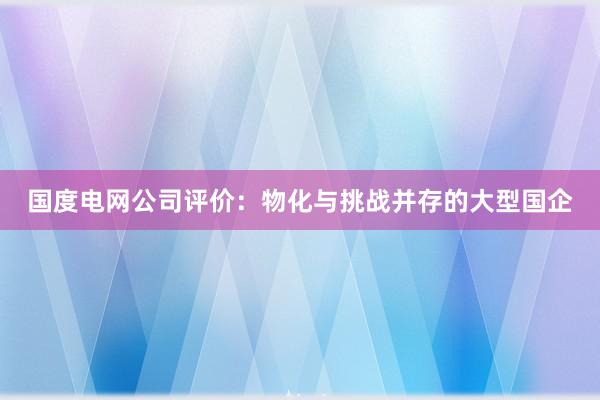 国度电网公司评价：物化与挑战并存的大型国企